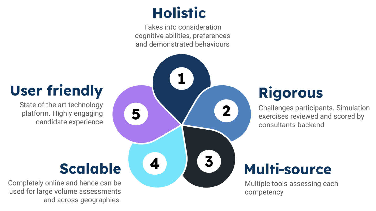 High Potential Identification - Basiltree Consulting